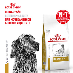 Royal Canin Urinary S/O Корм сухой для взрослых собак при мочекаменной болезни и цистите. Ветеринарная диета, 13 кг.