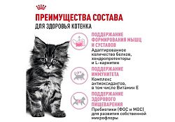 Royal Canin Breed cat Kitten Maine Coon Сухой корм Роял Канин для Котят породы Мэйн Кун в возрасте до 15 месяцев 4 кг
