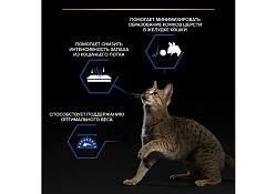 PRO PLAN HOUSECAT Влажный корм Паучи ПРО ПЛАН для взрослых кошек при домашнем образе жизни с индейкой в желе (цена за упаковку) 85г х 26шт