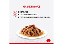 Royal Canin Indoor Влажный корм (Консервы-Паучи) Роял Канин Индор для Стерилизованных кошек Живущих в помещении в Соусе (цена за упаковку) 85г х 28шт