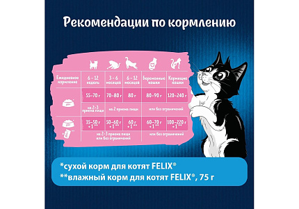 FELIX ДВОЙНАЯ ВКУСНЯТИНА Сухой корм Пурина Феликс для котят с курицей 600 г
