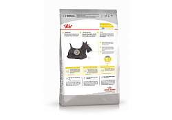 Royal Canin Mini Dermacomfort Сухой корм Роял Канин Мини Дермакомфорт для собак Мелких пород с Кожным раздражением и зудом 3 кг Royal Canin Mini Dermacomfort Сухой корм Роял Канин Мини Дермакомфорт для собак Мелких пород с Кожным раздражением и зудом 3 кг