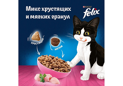 FELIX ДВОЙНАЯ ВКУСНЯТИНА Сухой корм Пурина Феликс для котят с курицей 600 г