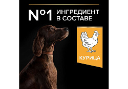 PRO PLAN OPTI BALANCE Сухой корм ПРО ПЛАН для взрослых собак крупных пород с атлетическим телосложением с курицей 14 кг PRO PLAN OPTI BALANCE Сухой корм ПРО ПЛАН для взрослых собак крупных пород с атлетическим телосложением с курицей 14 кг