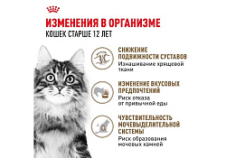 Royal Canin Ageing 12+ Sause Влажный корм (Консервы-Паучи) Роял Канин Эйжинг для Пожилых кошек старше 12 лет в Соусе (цена за упаковку) 85г х 28шт