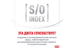 Royal Canin Urinary S O LP18 13 кг