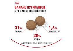 Royal Canin Mini Puppy Сухой корм Роял Канин Мини Паппи для Щенков Мелких пород в возрасте от 2 до 10 месяцев 2 кг