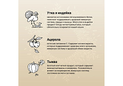 Craftia Harmona Cat Adult Duck & Turkey Сухой корм Крафтия для взрослых кошек Утка индейка 320 г