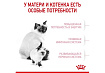 Royal Canin Mother & Babycat Сухой корм Роял Канин Бэйбикэт для Котят в возрасте от 1 до 4 месяцев 4 кг