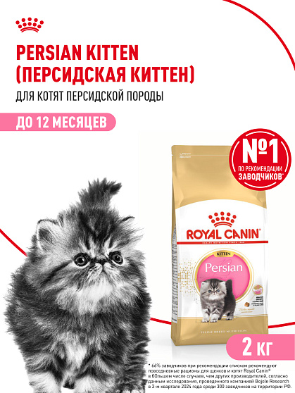 Royal Canin Persian Kitten Корм сухой сбалансированный для персидских котят (до 12 месяцев), 2 кг