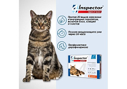 Inspector Quadro К Капли Инспектор от Внешних и Внутренних паразитов для кошек весом от 8 до 15 кг 1 шт