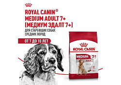 Royal Canin Medium Adult 7+ Сухой корм Роял Канин Медиум для Пожилых собак Средних пород старше 7 лет 4 кг