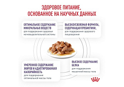 Royal Canin Neutered Maintenance Ветеринарный влажный корм (Консервы-Паучи) Роял Канин Ньютеред Мэйнтенэнс для Взрослых Кастрированных котов и Стерилизованных кошек в Соусе (цена за упаковку) 85г х 28шт