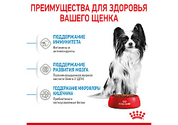 Royal Canin X-Small Puppy Сухой корм Роял Канин Икс-Смолл Паппи для Щенков мелких пород 500 г