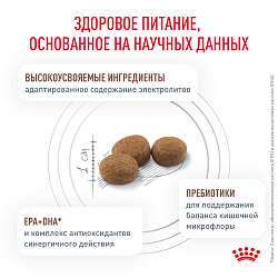 Royal Canin Gastrointestinal Hairball (Гастроинтестинал Хэйрболл) Корм для взрослых кошек при нарушениях пищеварения, сухой диетический, 2 кг