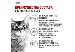 Royal Canin Light Weight Care Jelly Влажный корм (Консервы-Паучи) Роял Канин Лайт Вейт Кэа для кошек Профилактика лишнего веса в Желе (цена за упаковку) 85г х 28шт