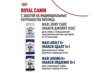 Royal Canin Maxi Adult Сухой корм Роял Канин Макси Эдалт для Взрослых собак Крупных пород в возрасте от 15 месяцев до 5 лет 15 кг