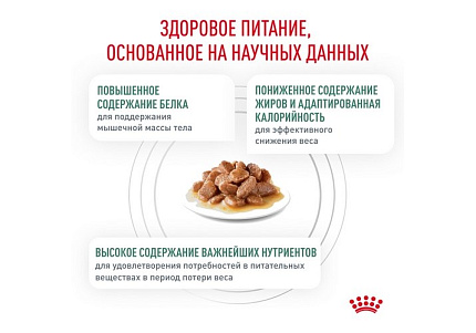 Royal Canin Satiety Weight Management SAT34 Ветеринарный влажный корм (Консервы-Паучи) Роял Канин Сетаети Вейт Менеджмент для кошек Контроль избыточного веса (цена за упаковку) 85г х 28шт
