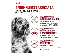 Royal Canin Medium Adult 7+ Сухой корм Роял Канин Медиум для Пожилых собак Средних пород старше 7 лет 4 кг
