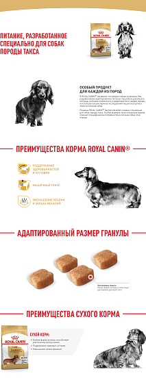 Royal Canin Dachshund Adult Корм сухой для взрослых собак породы Такса от 10 месяцев, 7,5 кг