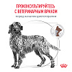 Сухой корм для собак Royal Canin GASTROINTESTINAL (ГАСТРОИНТЕСТИНАЛ) 2 кг