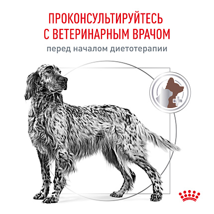 Сухой корм для собак Royal Canin GASTROINTESTINAL (ГАСТРОИНТЕСТИНАЛ) 2 кг