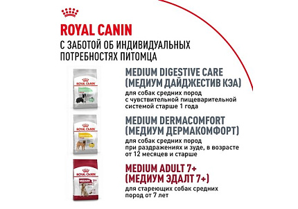 Royal Canin Medium Adult Сухой корм Роял Канин Медиум Эдалт для Взрослых собак Средних пород в возрасте от 1 года до 7 лет 3 кг