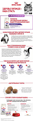 Royal Canin Sterilised 7+ Корм сухой полнорационный сбалансированный для стерилизованных кошек в возрасте от 7 до 12 лет, 3,5 кг