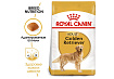 Royal Canin Breed dog Golden Retriever Adult Сухой корм Роял Канин для взрослых собак породы Голден Ретривер старше 15 месяцев 3 кг