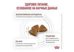Royal Canin Gastrointestinal Ветеринарный сухой корм Роял Канин Гастроинтестинал для кошек Заболевание ЖКТ (нарушения пищеварения) 350 г