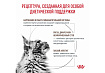Royal Canin Gastrointestinal Ветеринарный влажный корм (Консервы-Паучи) Роял Канин Гастроинтестинал для кошек Нарушения пищеварения (цена за упаковку) 85г х 28шт