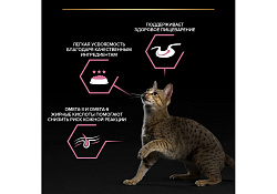 PRO PLAN DELICATE Влажный корм Паучи ПРО ПЛАН для кошек с Чувствительным пищеварением Ассорти вкусов Индейка, Океаническая рыба, Ягненок в соусе (цена за упаковку) 85г х 40шт PRO PLAN DELICATE Влажный корм Паучи ПРО ПЛАН для кошек с Чувствительным пищеварением Ассорти вкусов Индейка, Океаническая рыба, Ягненок в соусе (цена за упаковку) 85г х 40шт