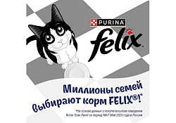 FELIX СУП Влажный корм Паучи Пурина Феликс Суп для взрослых кошек с треской (цена за упаковку) 48г х 36шт