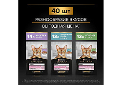 PRO PLAN DELICATE Влажный корм Паучи ПРО ПЛАН для кошек с Чувствительным пищеварением Ассорти вкусов Индейка, Океаническая рыба, Ягненок в соусе (цена за упаковку) 85г х 40шт PRO PLAN DELICATE Влажный корм Паучи ПРО ПЛАН для кошек с Чувствительным пищеварением Ассорти вкусов Индейка, Океаническая рыба, Ягненок в соусе (цена за упаковку) 85г х 40шт