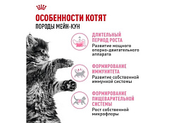 Royal Canin Breed cat Kitten Maine Coon Сухой корм Роял Канин для Котят породы Мэйн Кун в возрасте до 15 месяцев 4 кг