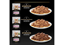 PRO PLAN DELICATE Влажный корм Паучи ПРО ПЛАН для кошек с Чувствительным пищеварением Ассорти вкусов Индейка, Океаническая рыба, Ягненок в соусе (цена за упаковку) 85г х 40шт PRO PLAN DELICATE Влажный корм Паучи ПРО ПЛАН для кошек с Чувствительным пищеварением Ассорти вкусов Индейка, Океаническая рыба, Ягненок в соусе (цена за упаковку) 85г х 40шт