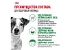 Royal Canin Mini Adult 8+ Сухой корм Роял Канин Мини для Пожилых собак Мелких пород старше 8 лет 4 кг