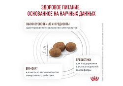 Royal Canin Gastrointestinal Hairball Ветеринарный сухой корм Роял Канин Гастроинтестинал Хэйрбол для кошек Нарушения пищеварения Вывод волосяных комочков 2 кг