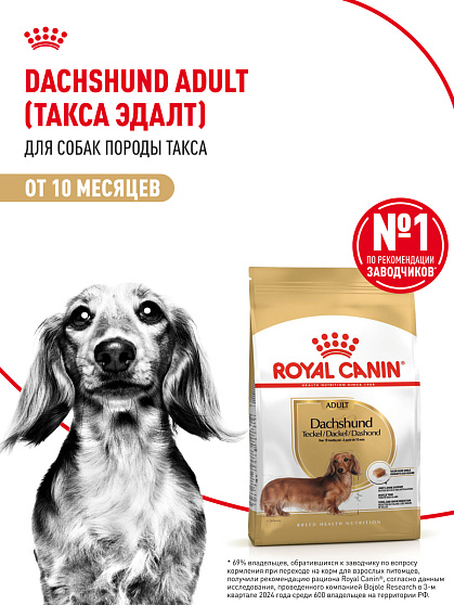 Royal Canin Dachshund Adult Корм сухой для взрослых собак породы Такса от 10 месяцев, 7,5 кг