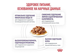 Royal Canin Neutered Balance Ветеринарный влажный корм (Консервы-Паучи) Роял Канин Ньютеред Баланс для Кастрированных котов и Стерилизованных кошек Склонных к полноте (цена за упаковку) 85г х 28шт