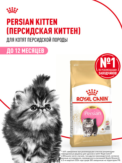 Royal Canin Persian Kitten Корм сухой сбалансированный для персидских котят (до 12 месяцев), 2 кг