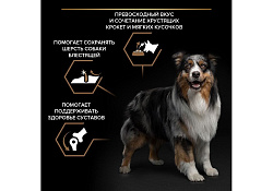 PRO PLAN DUO DELICE Сухой корм ПРО ПЛАН для взрослых собак средних и крупных пород с говядиной 10 кг PRO PLAN DUO DELICE Сухой корм ПРО ПЛАН для взрослых собак средних и крупных пород с говядиной 10 кг