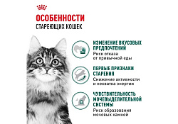 Royal Canin Instinctive 7+ Влажный корм (Консервы-Паучи) Роял Канин Инстинктив для Пожилых кошек старше 7 лет в Соусе (цена за упаковку) 85г х 28шт