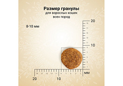 Craftia Harmona Cat Adult Duck & Turkey Сухой корм Крафтия для взрослых кошек Утка индейка 320 г