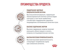 Royal Canin Gastro Intestinal GI25 Ветеринарный сухой корм Роял Канин Гастро Интестинал для взрослых собак при нарушении Пищеварения 15 кг