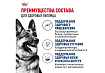 Royal Canin Maxi Adult Сухой корм Роял Канин Макси Эдалт для Взрослых собак Крупных пород в возрасте от 15 месяцев до 5 лет 15 кг