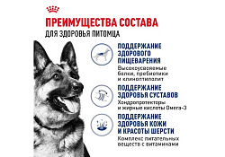 Royal Canin Maxi Adult Сухой корм Роял Канин Макси Эдалт для Взрослых собак Крупных пород в возрасте от 15 месяцев до 5 лет 15 кг Royal Canin Maxi Adult Сухой корм Роял Канин Макси Эдалт для Взрослых собак Крупных пород в возрасте от 15 месяцев до 5 лет 15 кг