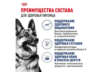 Royal Canin Maxi Adult Сухой корм Роял Канин Макси Эдалт для Взрослых собак Крупных пород в возрасте от 15 месяцев до 5 лет 15 кг