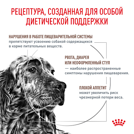 Сухой корм для собак Royal Canin GASTROINTESTINAL (ГАСТРОИНТЕСТИНАЛ) 2 кг