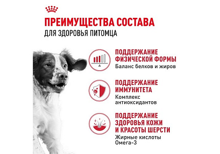 Royal Canin Medium Adult Сухой корм Роял Канин Медиум Эдалт для Взрослых собак Средних пород в возрасте от 1 года до 7 лет 3 кг